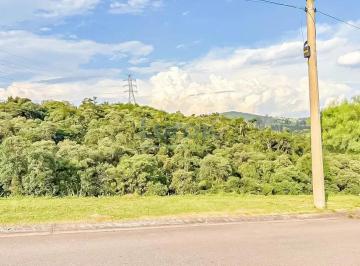 img-20250328-wa00011744042129941.jpg · Imoveis - em Monte Alegre