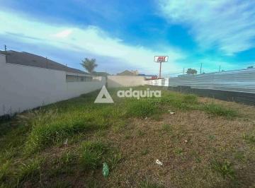 1000183404.jpg · Imoveis - no Jardim Carvalho