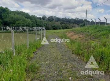 chacara-a-venda-7500m-periquitos-ponta-grossa-pr1699968002848trqlg.jpg · Imoveis - em Cará-cará