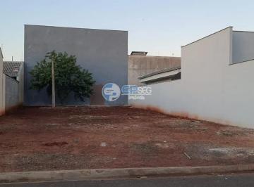 26a458c5-e92b-4387-bad0-9b884a6c06d21687985014964.jpeg · Imoveis - no Jardim Prefeito Milton Menezes