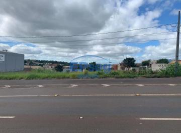 terreno-303-m-marginal-da-rodovia-carlos-joao-strass-jardim-tropical-londrina1663612211553wcffv.jpg · Imoveis - no Jardim Tropical