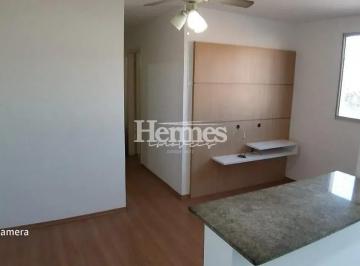 apartamento-com-3-dormitorios-a-venda-65-m-por-r-350-000-00-residencial-spazio-poeme-paulinia-sp1684333408217bipnk.jpg · Imoveis - no Jardim Vista Alegre