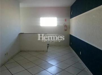 sala-comercial-para-locacao-jardim-de-itapoan-paulinia1684334252165zjkl.jpg · Imoveis - no Jardim de Itapoan