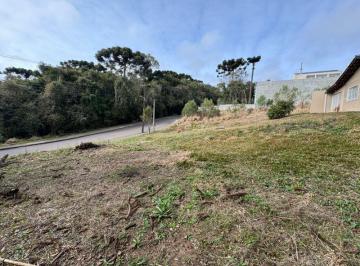 Terreno , Quatro Barras · TERRENO QUATRO BARRAS - PR