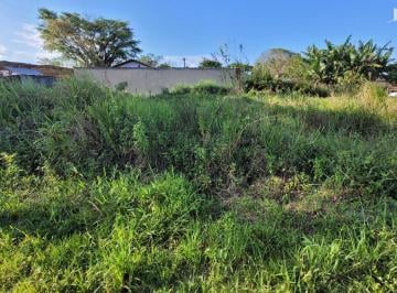 Terreno · 360m² · Terreno limpo face Sul