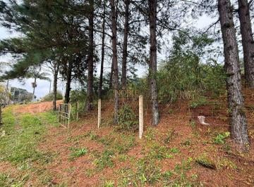 Terreno · Terreno com 3.780 m² às margens da rodovia – Dom Pedro de Alcântara/RS
