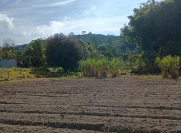 202508191807127534.jpeg · Terreno Rural para Venda em Salesópolis, Alegre