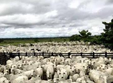 6044f0463d8851b69f26dc75520870327f972db4 · Fazenda com 3 dormitórios à venda, 10860000 m² por R$ 290.000.000,00 - Santana - São José dos Campos