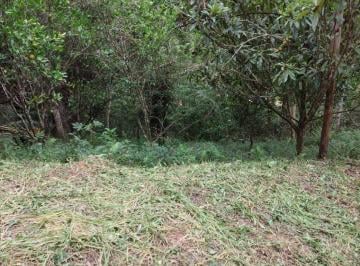 188473253872bc1618316e70479281a22e54bf40 · Terreno à venda, 5000 m² por R$ 160.000,00 - Tapanhão - Jambeiro/SP