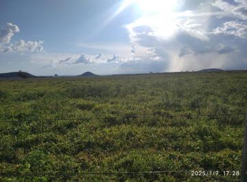 Foto 03 · EXCELENTE FAZENDA A VENDA EM CAMAPUÃ - MS   ÁREA TOTAL 334 HECTARES OU 138 ALQUEIRES PAULISTA   FORM