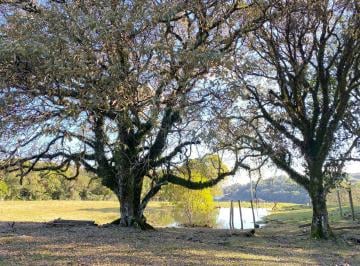 Rural , Três Coroas · Sítio/Chácara em Três Coroas/RS com 3,5 Hectares com uma vista de Cinema