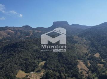 Rural · 600m² · 4 Quartos · Vinícola à venda