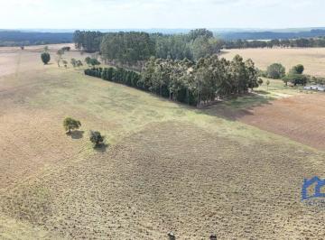 Foto 01 · Sítio/Fazenda à Venda, 10,15 alqueires por R$ 3.200.000 Cód. ch2417