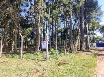 Terreno , Curitiba · ÁREA VERDE PLANA COM FÁCIL ACESSO OPORTUNIDADE