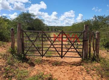 Fazenda em Ribeira do Pombal na Bahia, com 1900 tarefas · Fazenda em Ribeira do Pombal na Bahia, com 1900 tarefas
