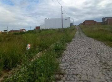 8438596ffb5f569682b7f2b73620fb6f.jpg · Terreno à venda, 226 m² por R$ 70.000 - São Vicente de Paulo - Vitória de Santo Antão/PE