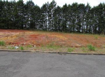 Terreno · 420m² · Terreno Lot Bieda - Plano, pronto para construir!
