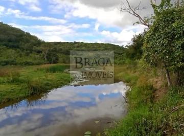 Foto 06 · FAZENDA EM MUNDO NOVO-BA ,REGIAO DO JEQUITIBÁ