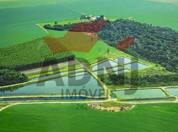 Foto 01 · Fazenda à venda em Primavera do Leste - MT com 985 hectares de área.