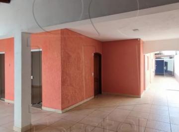 Foto 47 · Imperdível oportunidade de adquirir uma casa ampla no Jardim Elite, Limeira-SP: 3 quartos, 1 suíte, 