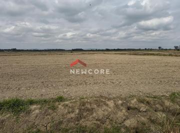 Rural · 1000m² · Fazenda em  Vgv- Estimado Em Hum Bilhão de Reais“filé de Area”de Empreendedorismo Turistico Em Treme