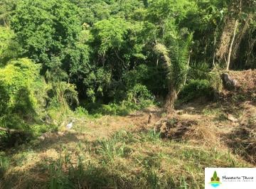 Terreno · 3875m² · Terreno à venda, Piúva-Ilhabela