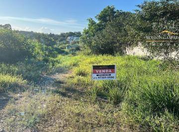 Foto 01 · Terreno, Trancoso, Porto Seguro, BA