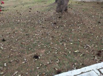 ed10d454856a00b319e772ab9b7dd260a129322d · Terreno à venda, 412 m² por R$ 2.900.000,00 - Residencial Onze (Alphaville) - Santana de Parnaíba/SP