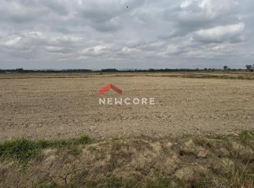 Rural · 1000m² · Fazenda em Vgv- Estimado Em Hum Bilhão de Reais“filé de Area”de Empreendedorismo Turistico Em Treme