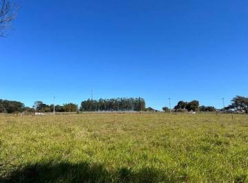 Terreno · 4000m² · Terreno à venda - em Capela do Alto