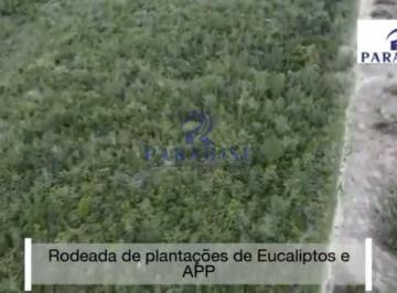 Rural · 305000m² · 10 Vagas · Fazenda, Zona Rural, Entre Rios - R$ 350 mil, Cod: 68676
