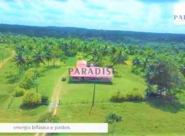 Rural · 2790700m² · 10 Vagas · Fazenda, Zona Rural, Entre Rios - R$ 10 mi, Cod: 68753