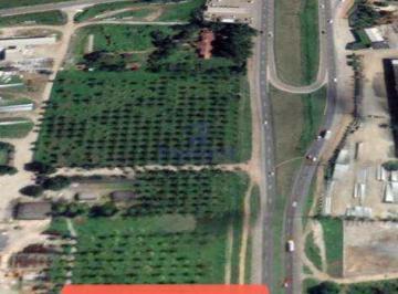 Comercial · 12000m² · Área, Centro, Amélia Rodrigues - R$ 4 mi, Cod: 68724