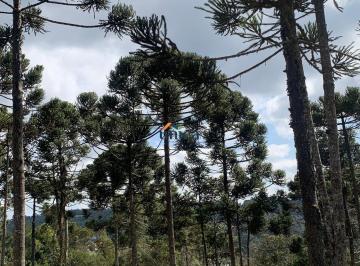 Foto 01 · Chácara, Centro, Campo Alegre, SC