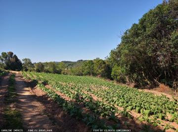 20240820162644_13333263964.jpg · Área Rural para Venda em Mariana Pimentel, Linha Dr. Flores