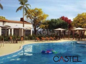 18674_ik5w9r_186746877e77897db2.jpg · Imoveis - Em Arroio Teixeira (Distrito)