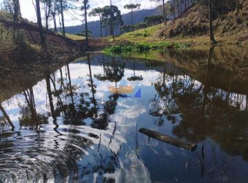 m8h9nk2oge3ytnintizmgmw_md · Sitio linda vista em Urubici- Sc com nascentes açudes e  araucárias, 7.5 hec...