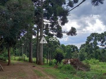 Rural · 170m² · 3 Quartos · Chácara em , Carambeí/PR de 170m² 3 quartos à venda por R$ 2.200.000,00