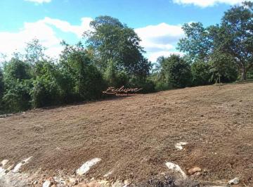 terreno-a-venda-em-itaquaquecetuba-jardim-josely-11217320.jpeg · Terreno à venda em Itaquaquecetuba, Jardim Josely, 175m²