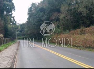 Terreno · 66000m² · TERRENOS BEM LOCALIZADOS CAMPO LARGO