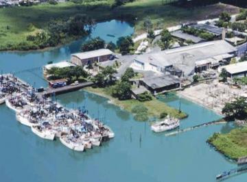 Comercial de 5 quartos, Belém · FRIGORÍFICO COM CAPACIDADE DE ALTA EXPORTAÇÃO 