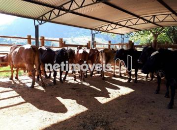 Rural · 999999m² · 2 Quartos · 10 Vagas · Venda Fazenda Zona Rural Mutum