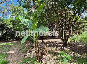Terreno · 3100m² · Venda Lote-Área-Terreno Garças Belo Horizonte
