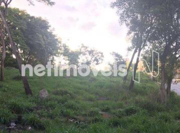 Terreno · 3000m² · Oportunidade! Lotes à Venda em Betim