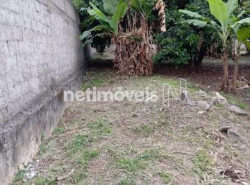 Terreno · 1000m² · Venda Lote-Área-Terreno Garças Belo Horizonte