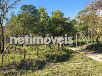 Rural · 154373m² · Venda Fazenda Zona Rural Santa Luzia
