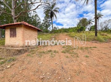 Terreno · 25000m² · Ideal para construtores devido a localização e a metragem do terreno!
