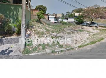 Terreno · 391m² · Venda Lote-Área-Terreno Castelo Belo Horizonte