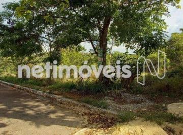 Terreno · 2100m² · Lote Plano de 2.100 m²; à Venda no Lagoa Mansões – Lagoa Santa/MG