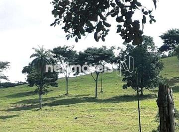 Rural · 210000m² · 10 Vagas · Venda Fazenda Fazenda Paciência Catas Altas